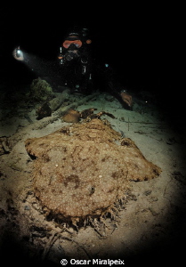 Nightdive in Raja Ampat by Oscar Miralpeix 